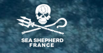 sea sheperd